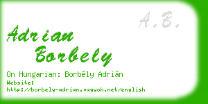 adrian borbely business card